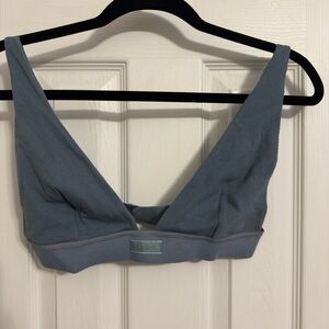 SKIMS Blue Bra with Plunging V-Neckline